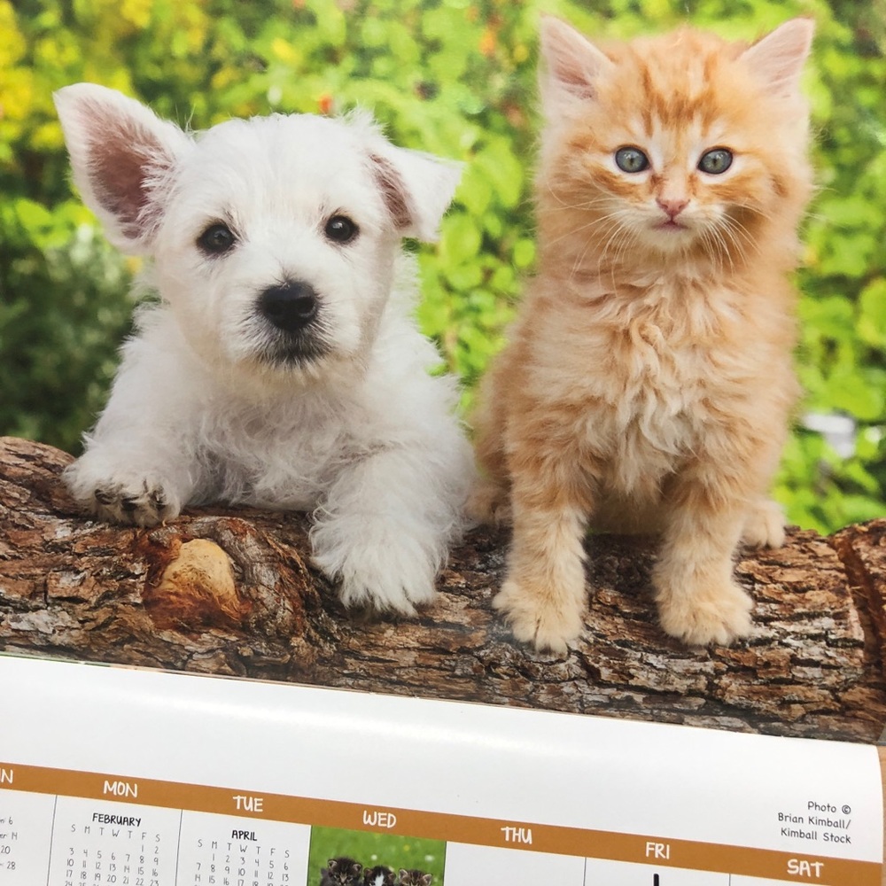 Meet your Posher, Dee